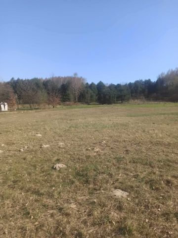 Działka rolno-budowlana Górniki. Zdjęcie 1