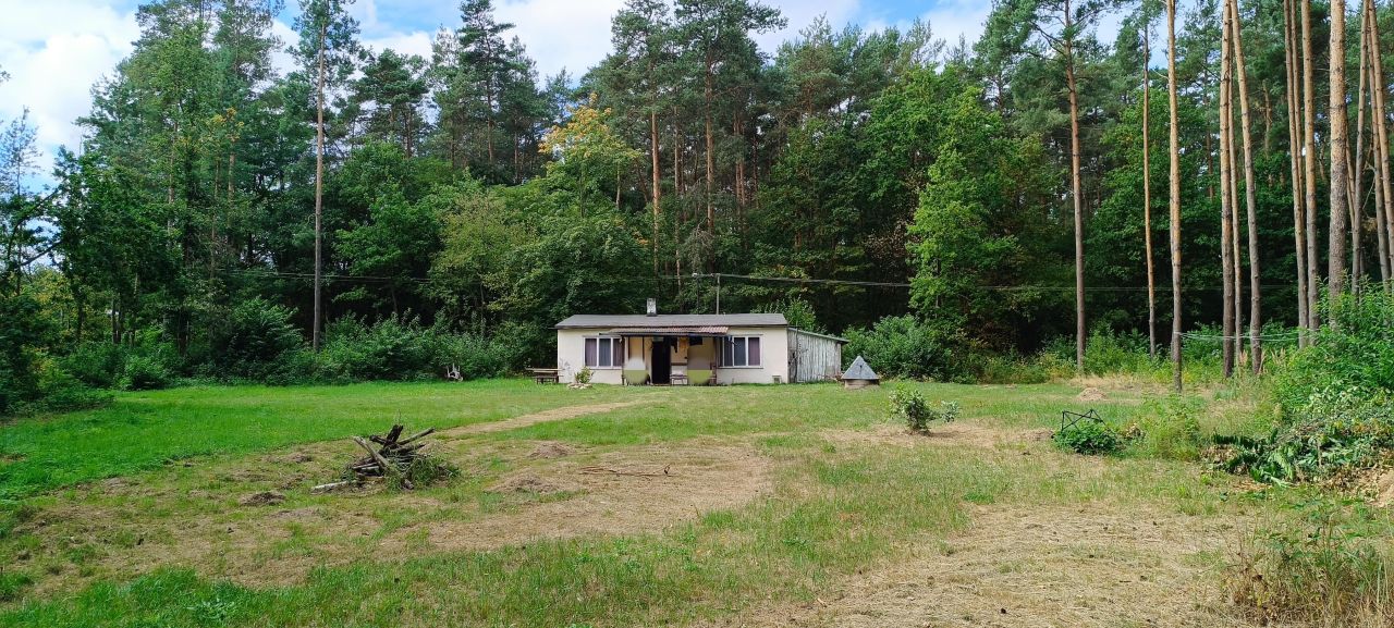 Działka rekreacyjna Budy Grabskie. Zdjęcie 6