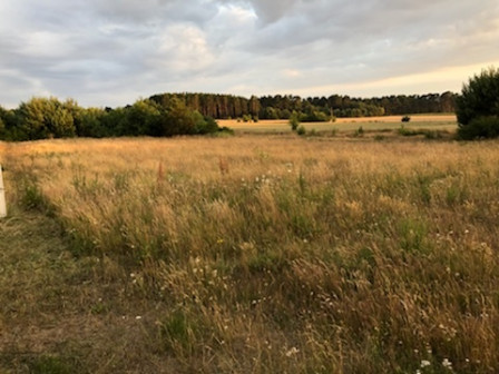 Działka budowlana Ostrowo