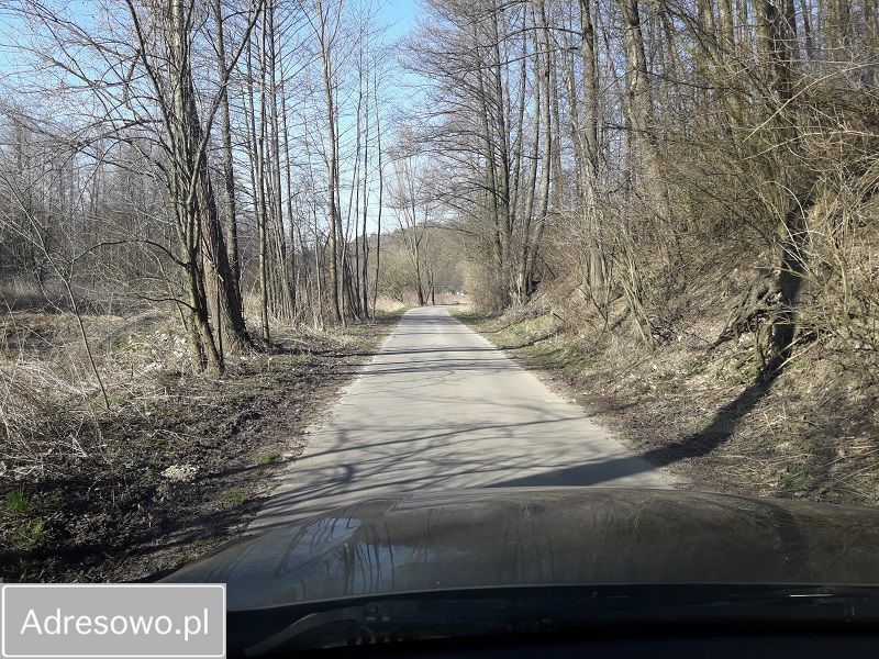 Działka rolno-budowlana Rzeczyca. Zdjęcie 2