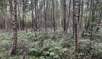 Działka leśna Łętowo