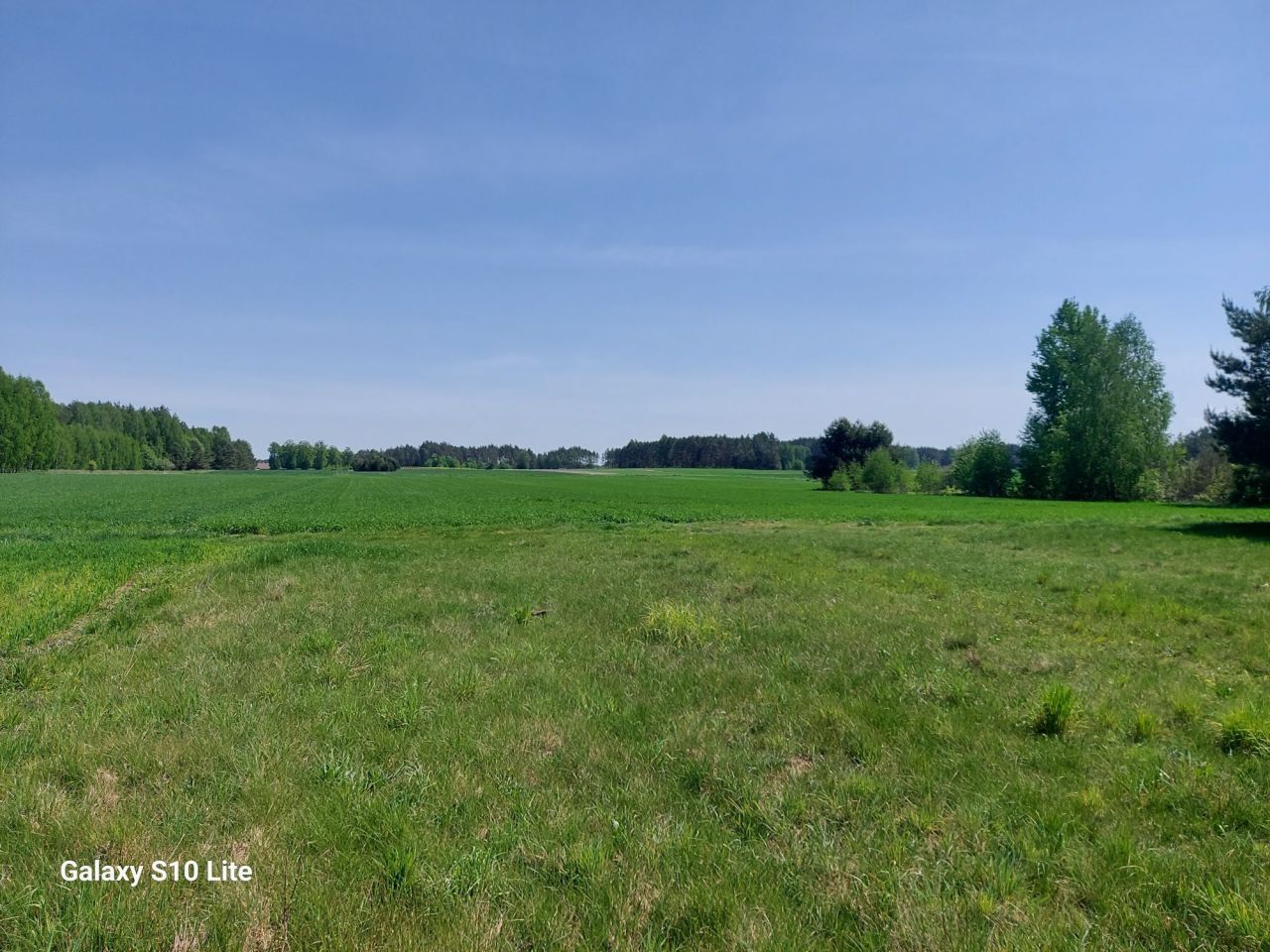 Działka rolna Trześcianka