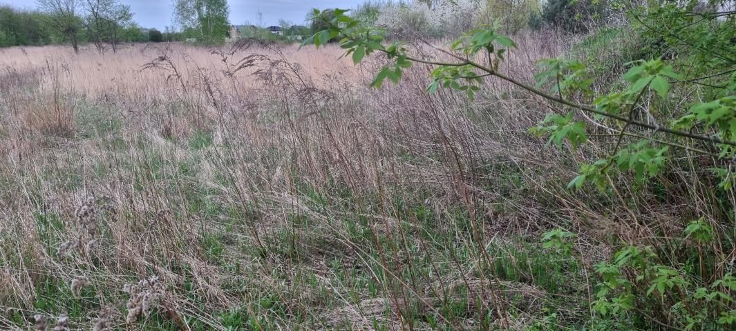Działka budowlana Kręczki. Zdjęcie 7