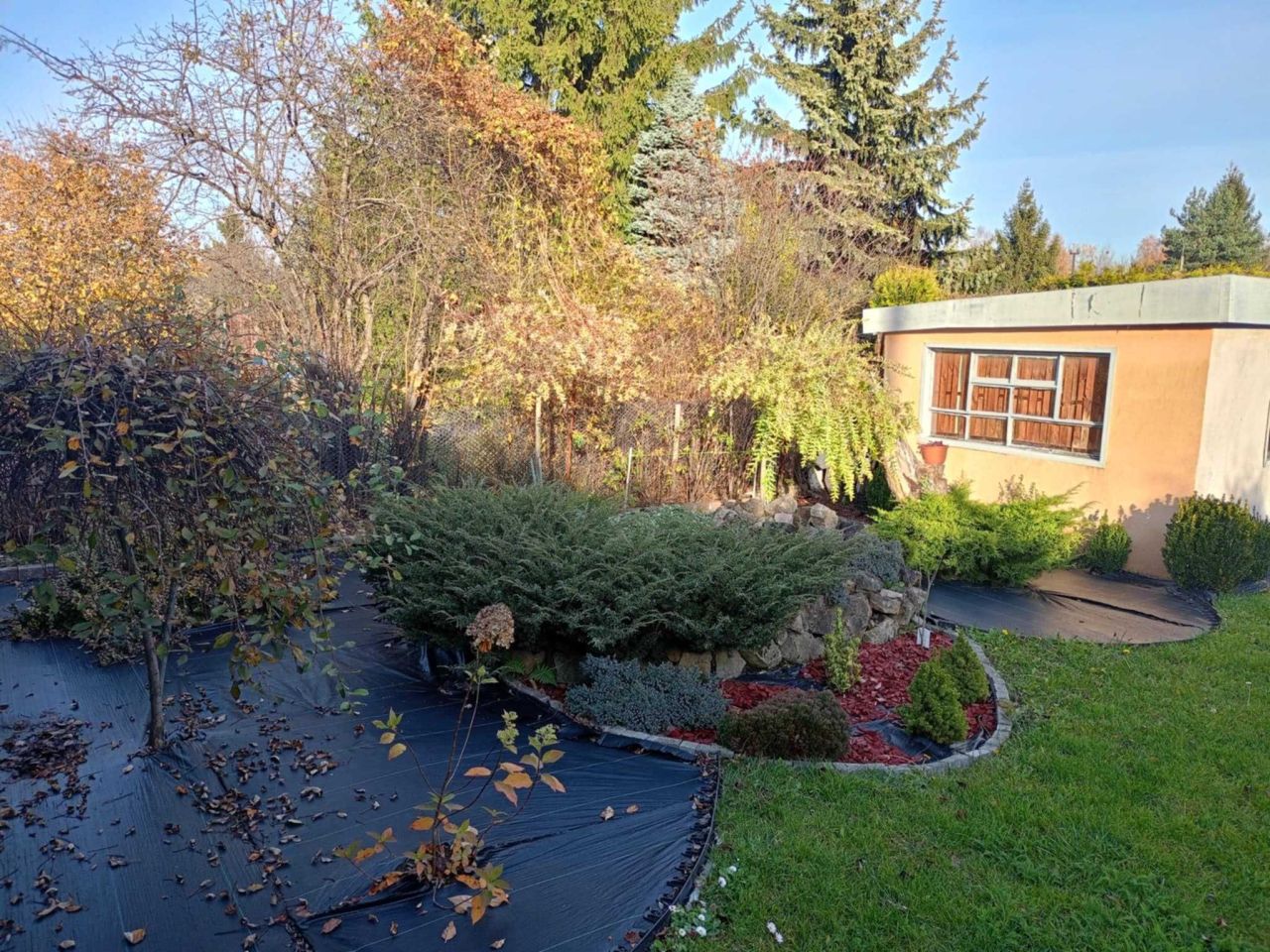 Działka rod Bytom, ul. Siemianowicka. Zdjęcie 6