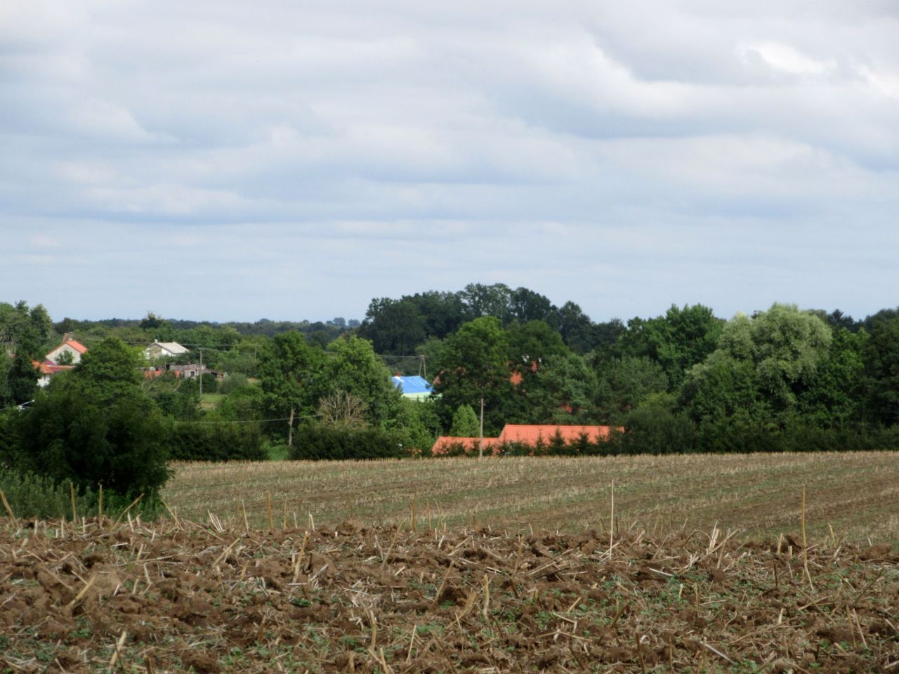 Działka rolna Strużyna. Zdjęcie 8