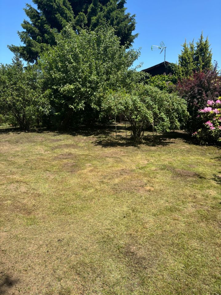 Działka rod Romanów. Zdjęcie 5