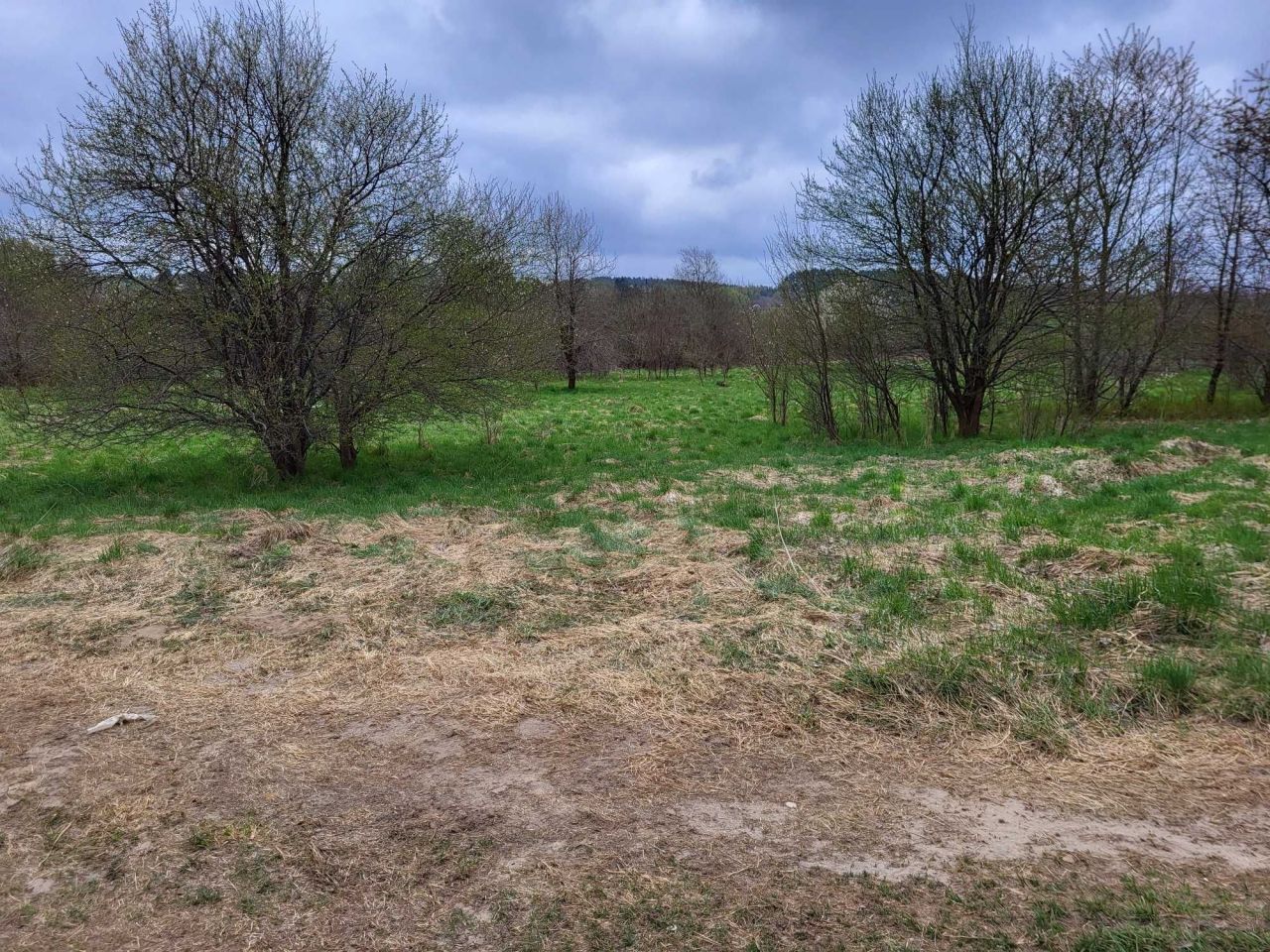 Działka siedliskowa Tomaryny. Zdjęcie 5