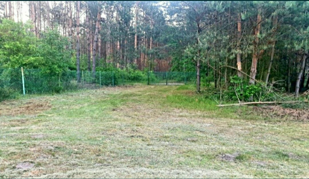 Działka budowlana Złotniki. Zdjęcie 6