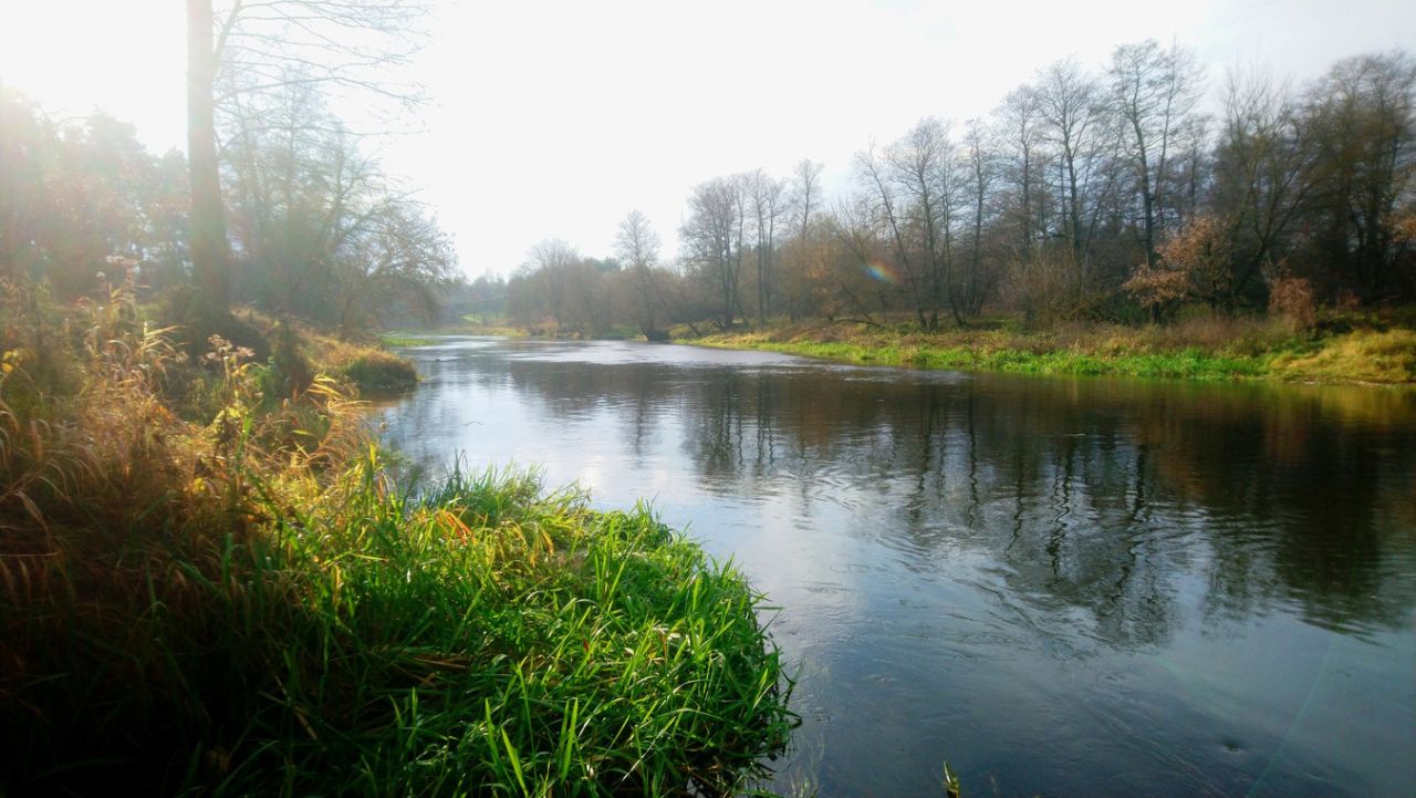 Działka budowlana Popielżyn-Zawady. Zdjęcie 4