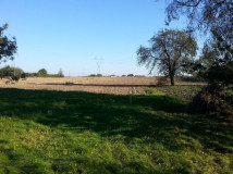 Działka rolno-budowlana Szopinek. Zdjęcie 2