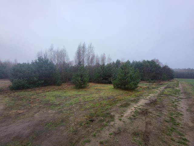 Działka rekreacyjna Nowe Miasto. Zdjęcie 1