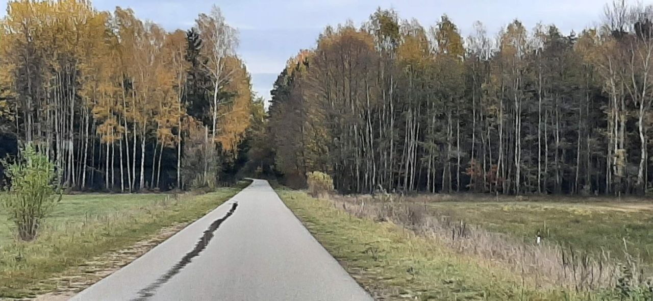 dom wolnostojący, 2 pokoje Wasiły-Zygny. Zdjęcie 13