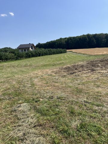 Działka rolno-budowlana Olchowa. Zdjęcie 2