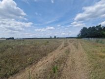 Działka rolna Krajęczyn. Zdjęcie 2