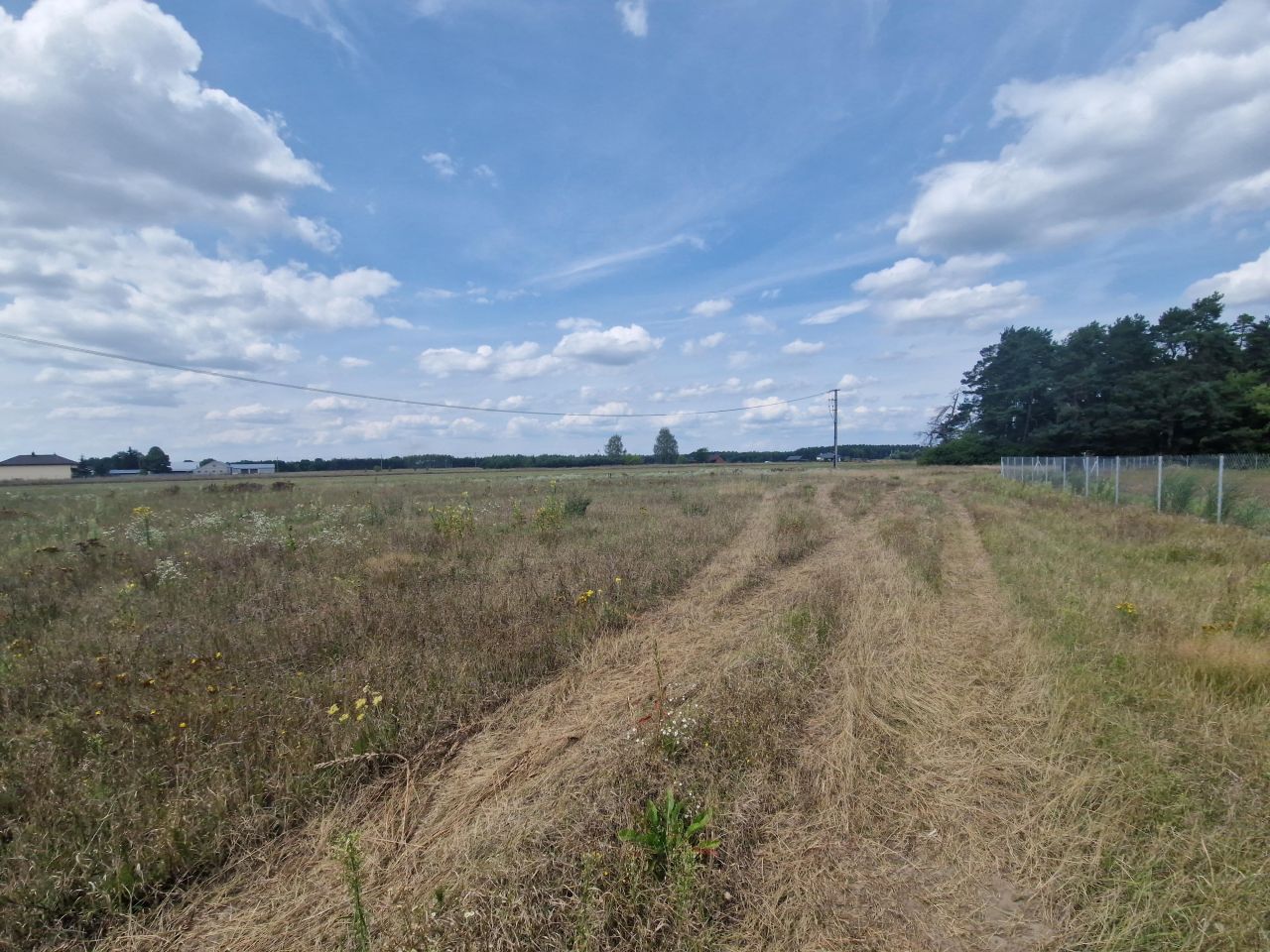 Działka rolna Krajęczyn. Zdjęcie 3