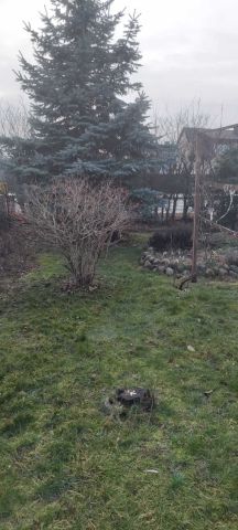 Działka rod Bełchatów, ul. Czapliniecka. Zdjęcie 1