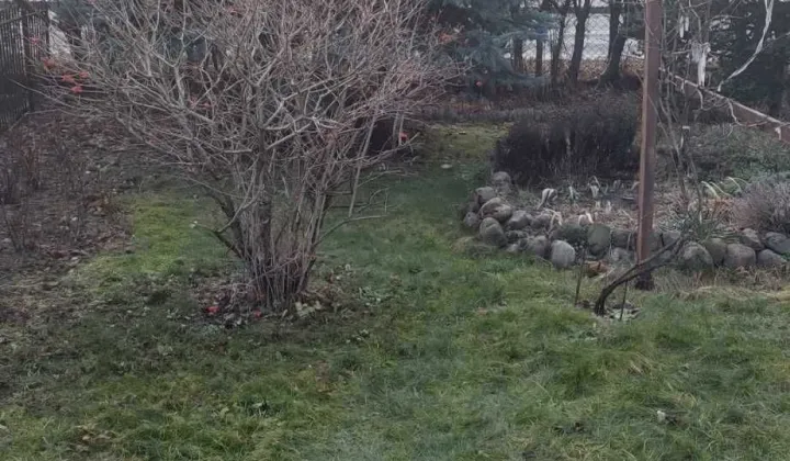 Działka rod Bełchatów, ul. Czapliniecka