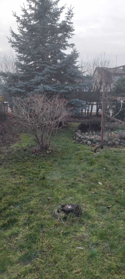 Działka rod Bełchatów, ul. Czapliniecka