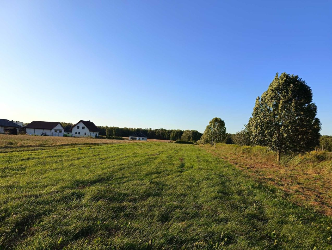 Działka rolno-budowlana Grubale. Zdjęcie 3