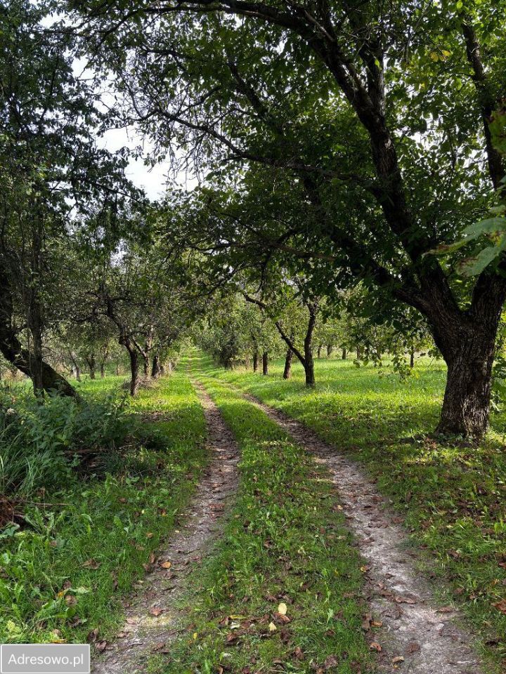siedlisko, 4 pokoje Radzięcin. Zdjęcie 3