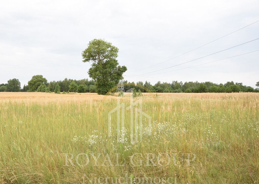 Działka siedliskowa Górka. Zdjęcie 5