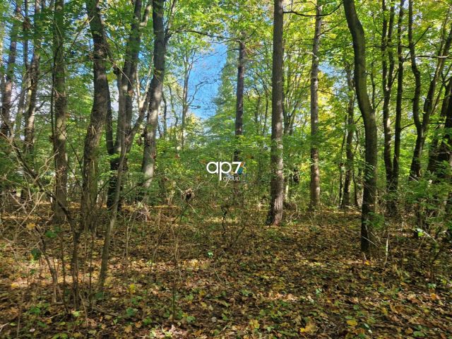 Działka inna Tenczynek, ul. Stanisława Pareńskiego. Zdjęcie 4