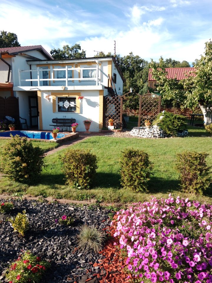 Działka rod Klucze, Stokrotka. Zdjęcie 8