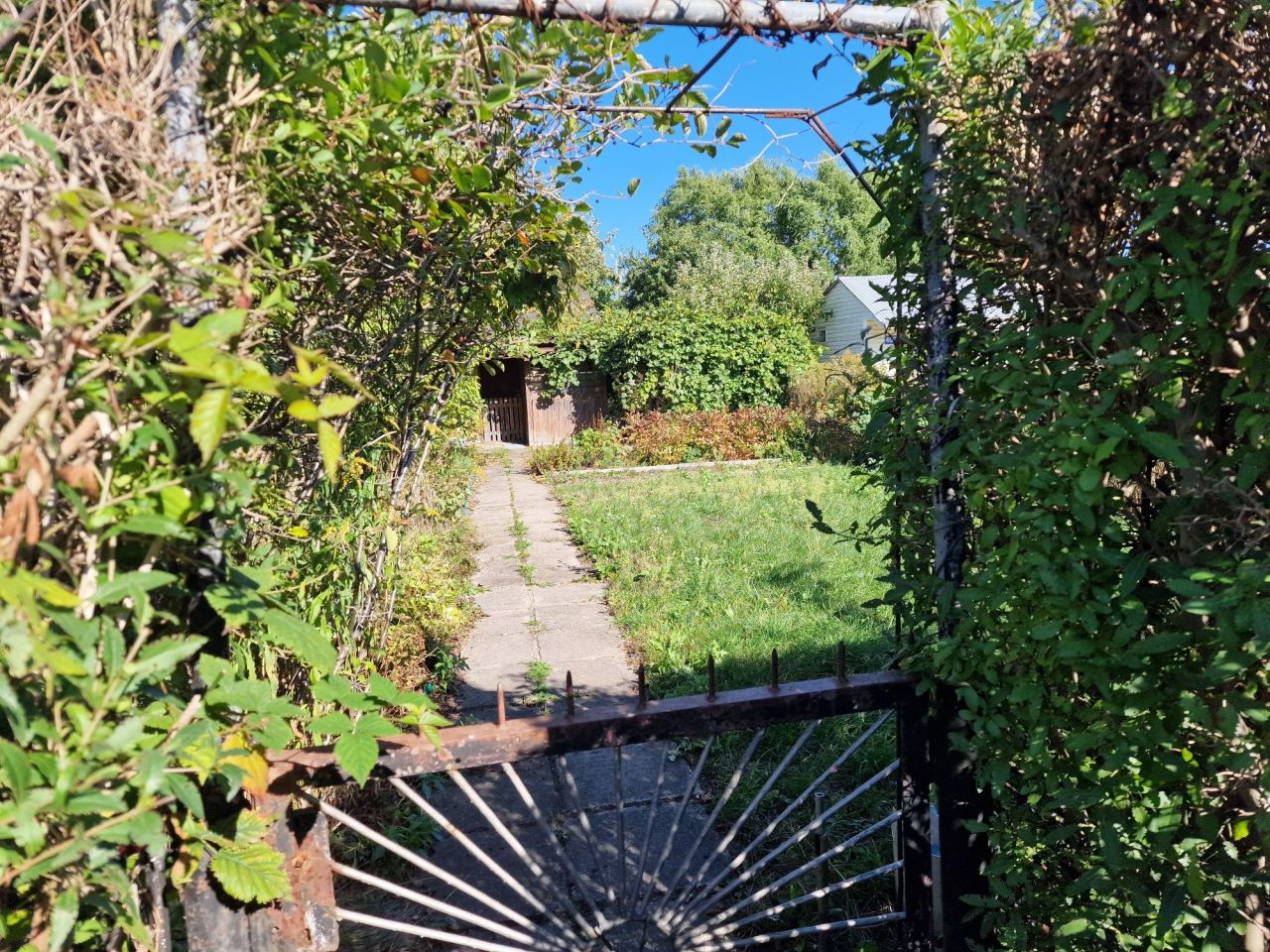 Działka rod Wołomin. Zdjęcie 2