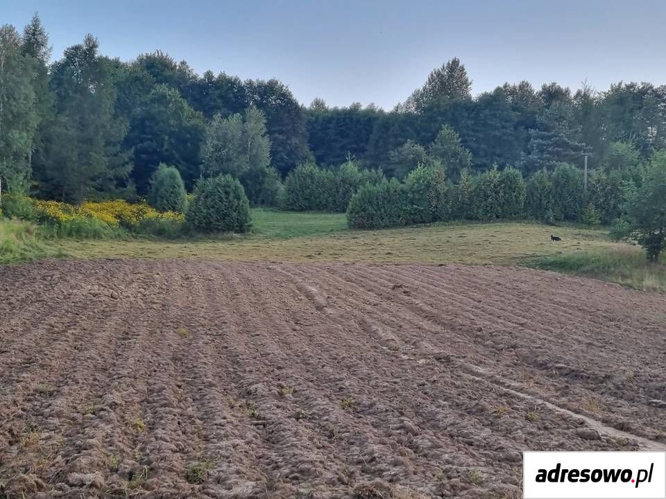 Działka budowlana Nozdrzec. Zdjęcie 5