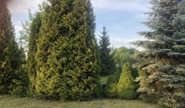 Działka rod Białystok Centrum, ul. Konstantego Ciołkowskiego