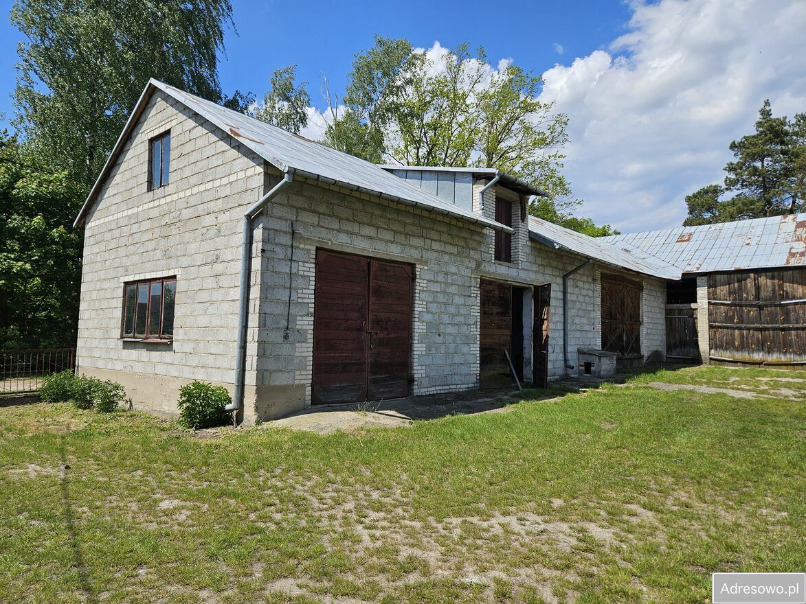 gospodarstwo Miedzna. Zdjęcie 9