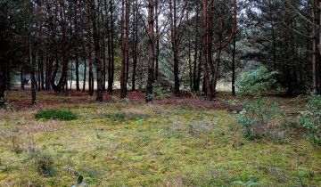 Działka rekreacyjna Pąchy