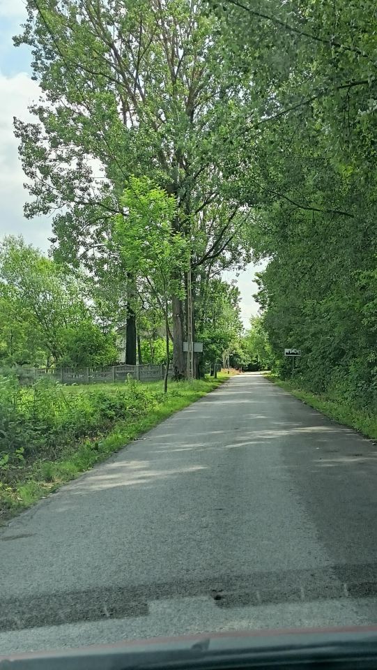 Działka budowlana Pasturka Krzywda. Zdjęcie 3