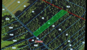 Działka leśna Łbiska, ul. Kazimierza Jagiellończyka