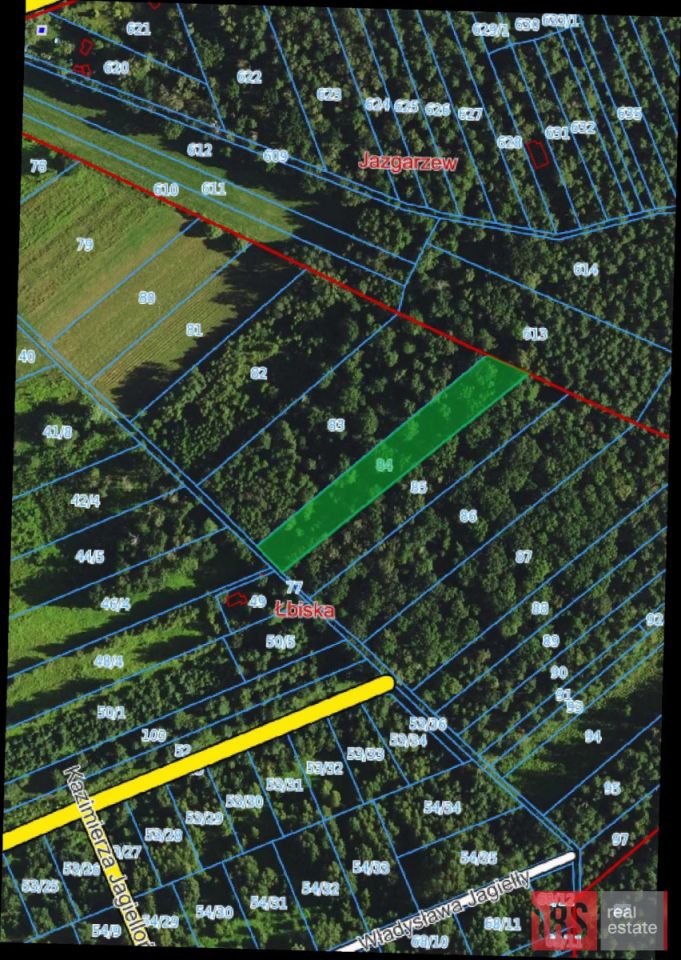 Działka leśna Łbiska, ul. Kazimierza Jagiellończyka. Zdjęcie 2