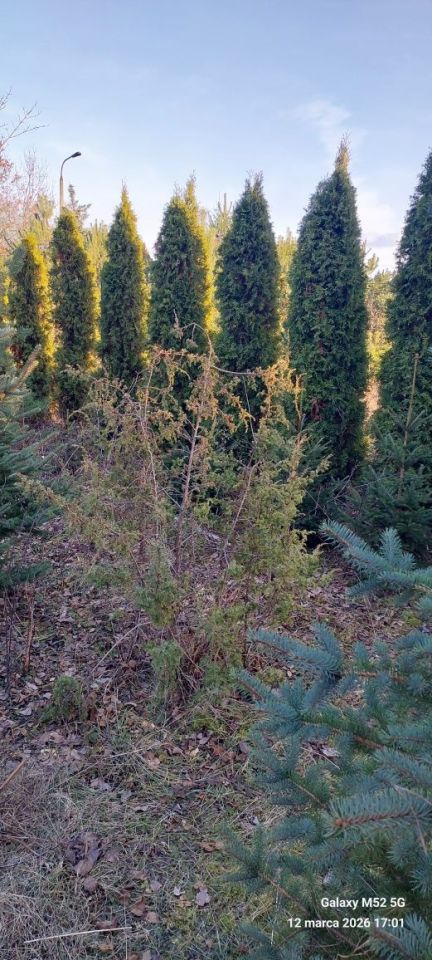 Działka budowlana Bożenkowo. Zdjęcie 5