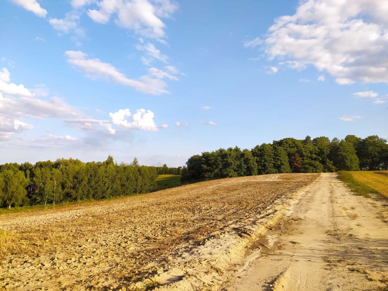 Działka rolno-budowlana Trąbin-Rumunki. Zdjęcie 7