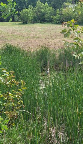 Mieszkanie 1-pokojowe Konstancin-Jeziorna Grapa, ul. Jana Sobieskiego. Zdjęcie 16
