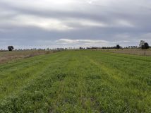 Działka budowlana Wyszków, Szmaragdowa. Zdjęcie 2