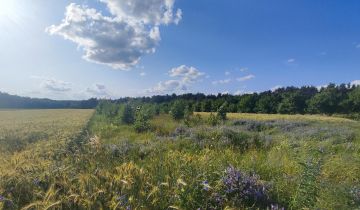 Działka rolno-budowlana Płyćwia