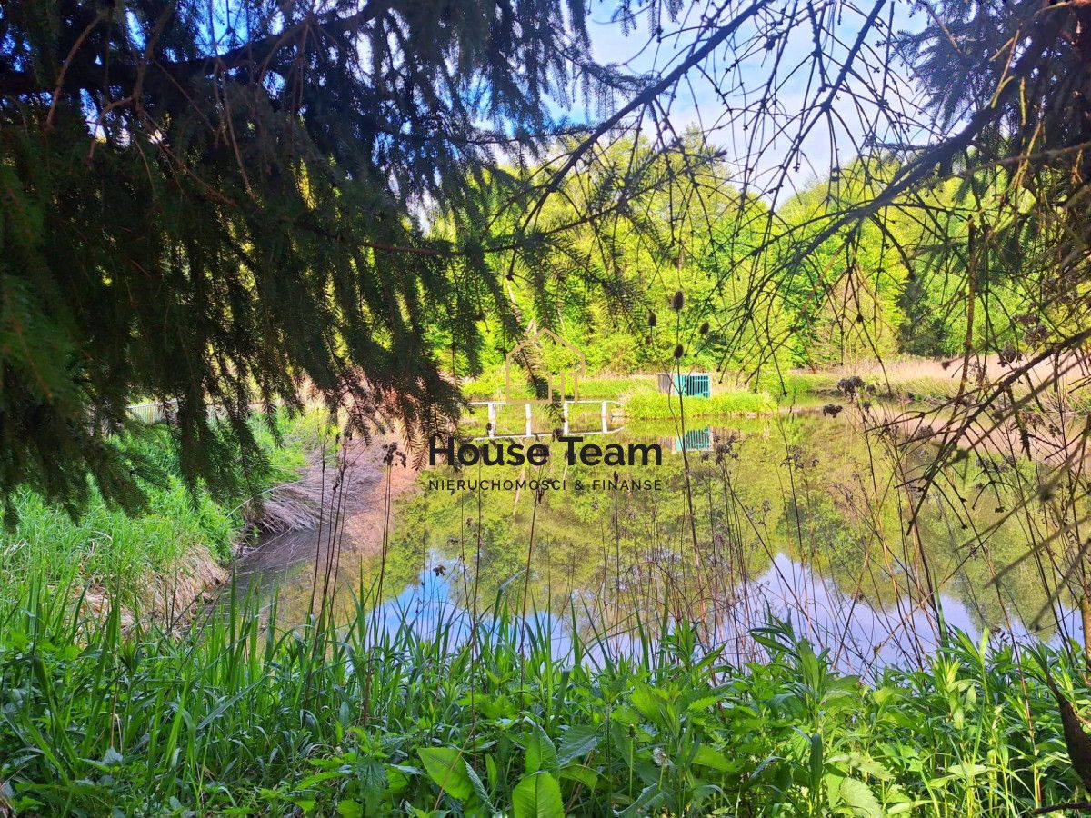 Działka rolna Czarnowo. Zdjęcie 11