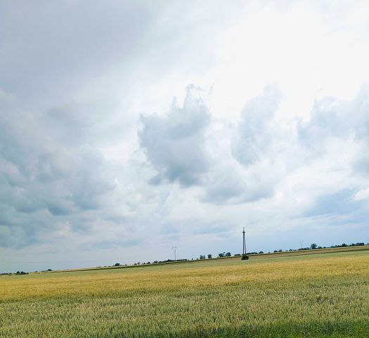 Działka rolna Złotniki Kujawskie. Zdjęcie 1