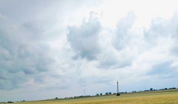 Działka rolna Złotniki Kujawskie