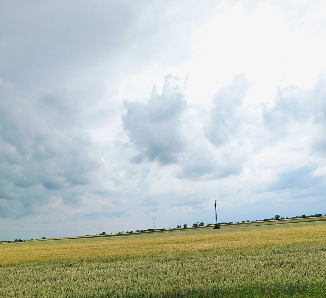 Działka rolna Złotniki Kujawskie