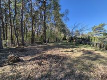 Działka rod Zielonka. Zdjęcie 1