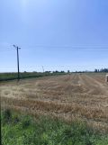 Działka rolno-budowlana Stabrów. Zdjęcie 2