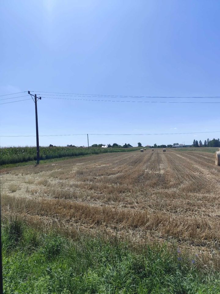 Działka rolno-budowlana Stabrów. Zdjęcie 3