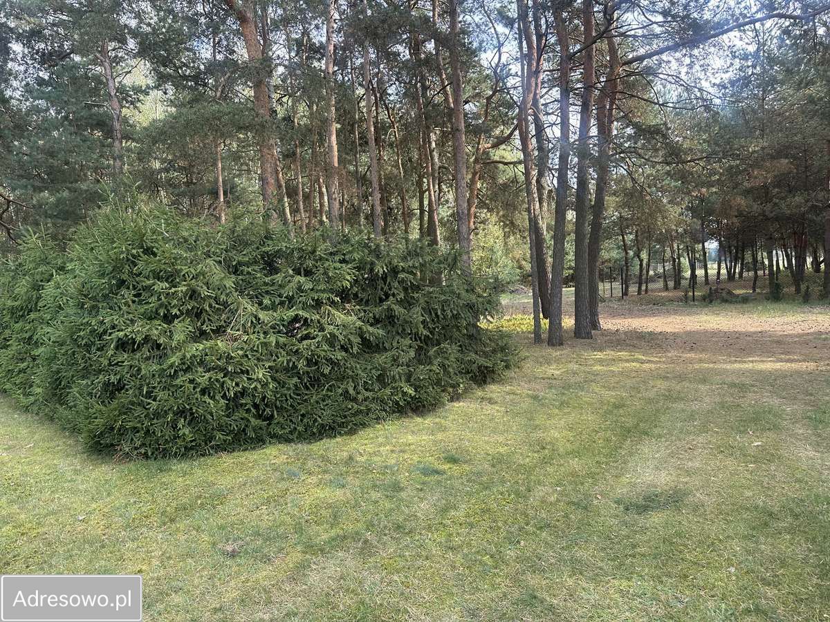 dom wolnostojący, 4 pokoje Biejków. Zdjęcie 9