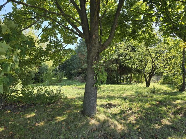 Działka rolno-budowlana Stary Zamość. Zdjęcie 1