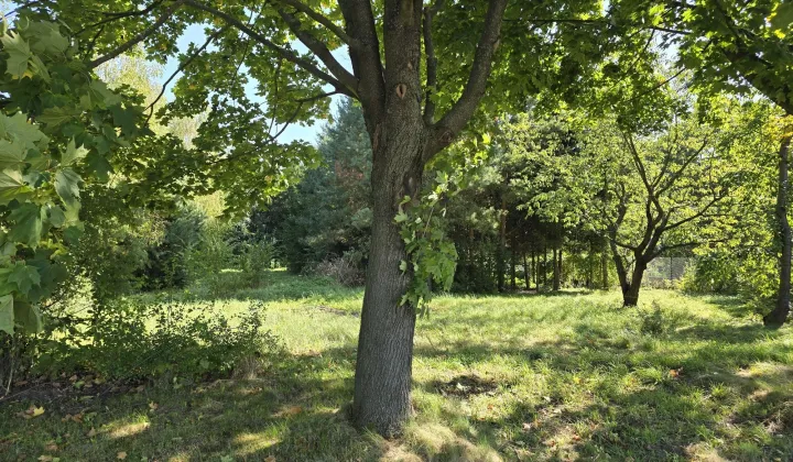 Działka rolno-budowlana Stary Zamość